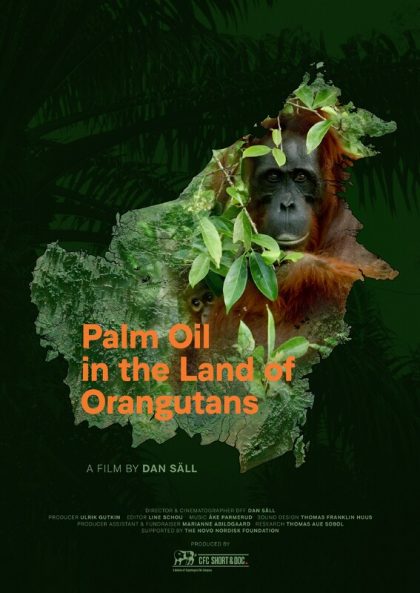 Palm Oil In The Lands of Orangutans